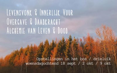 Levensvonk, Overgave & Alchemie – opstellingen